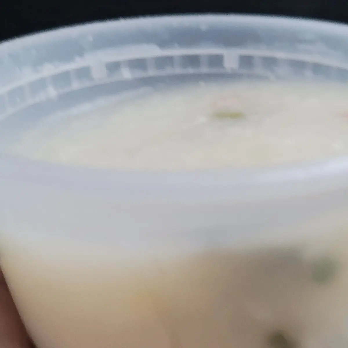 Pork & Thousand Years Egg Congee