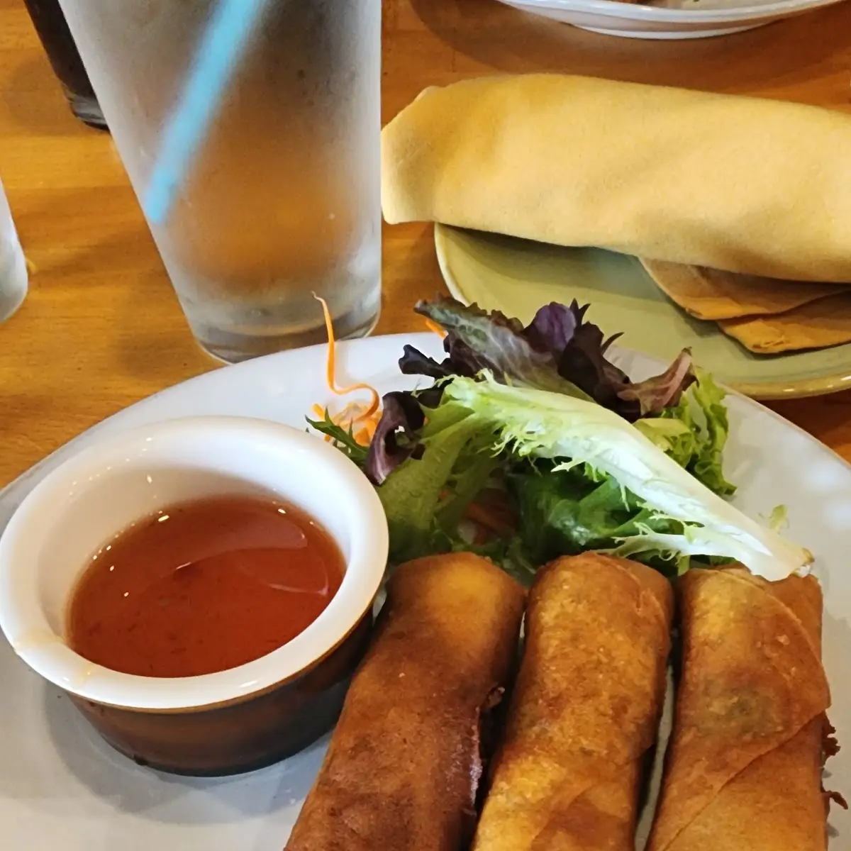 Vegetable Spring Rolls