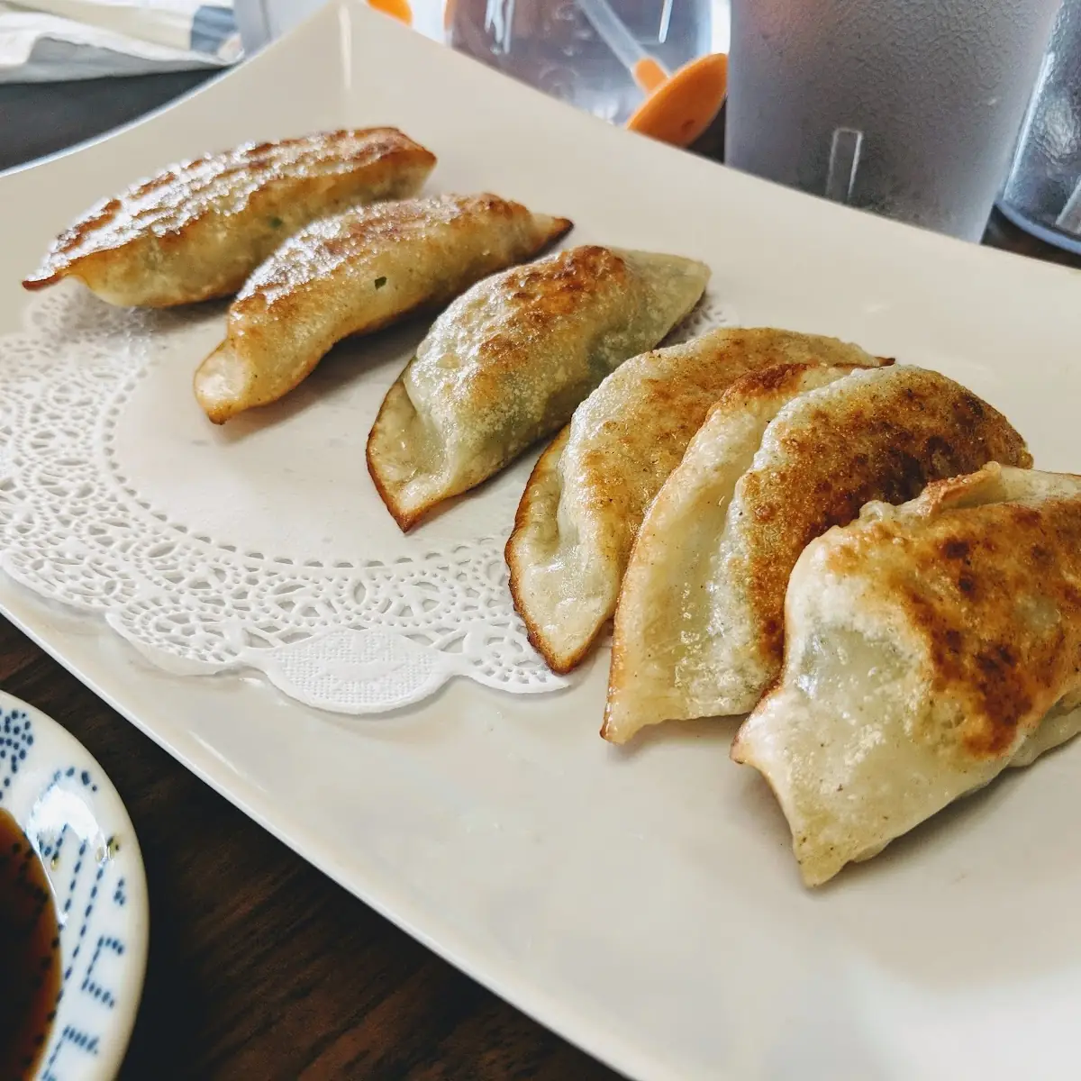 Fried Dumpling