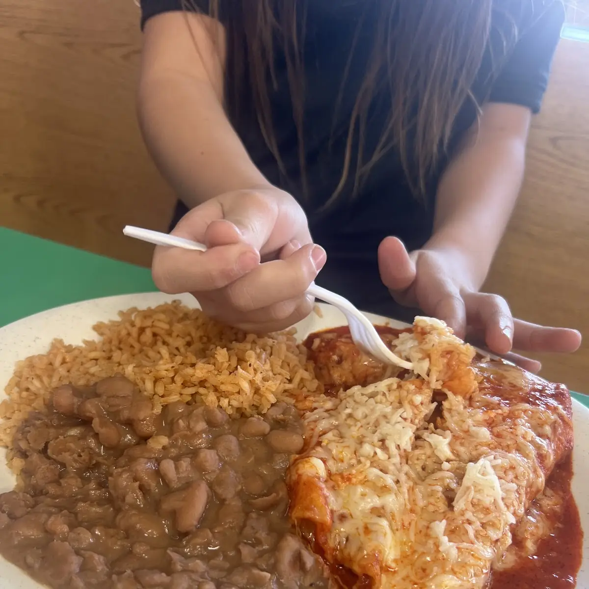 Enchilada Plate