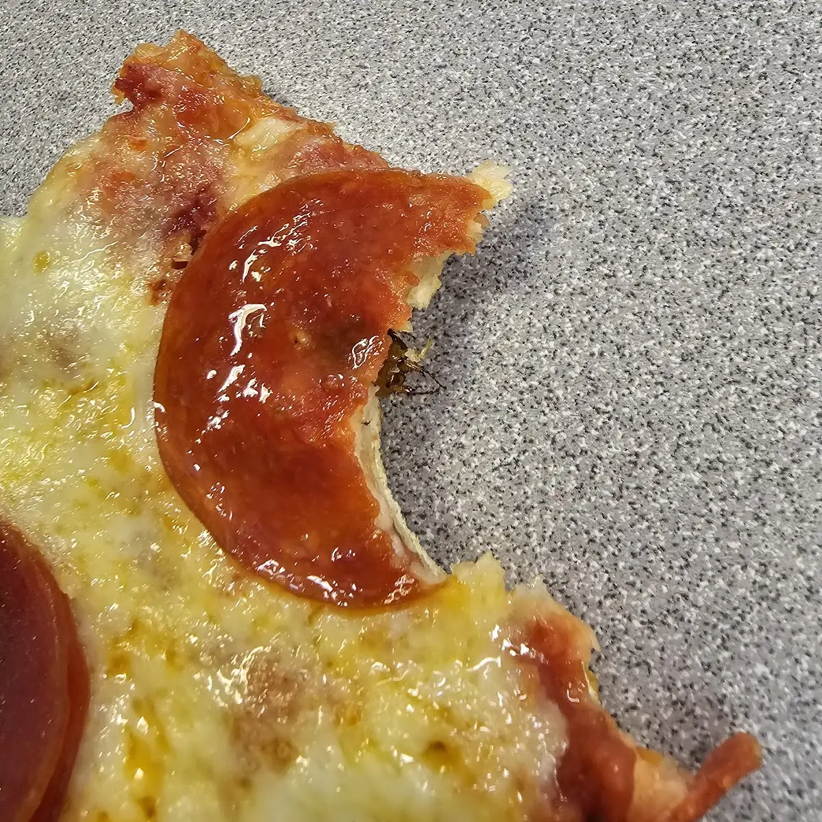 Roach Pizza