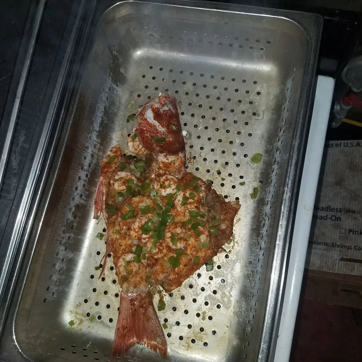 Red Snapper