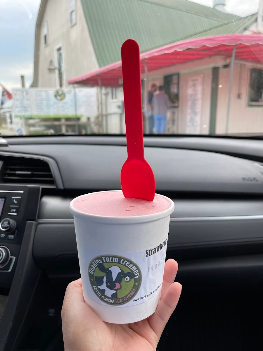 Italian Ice