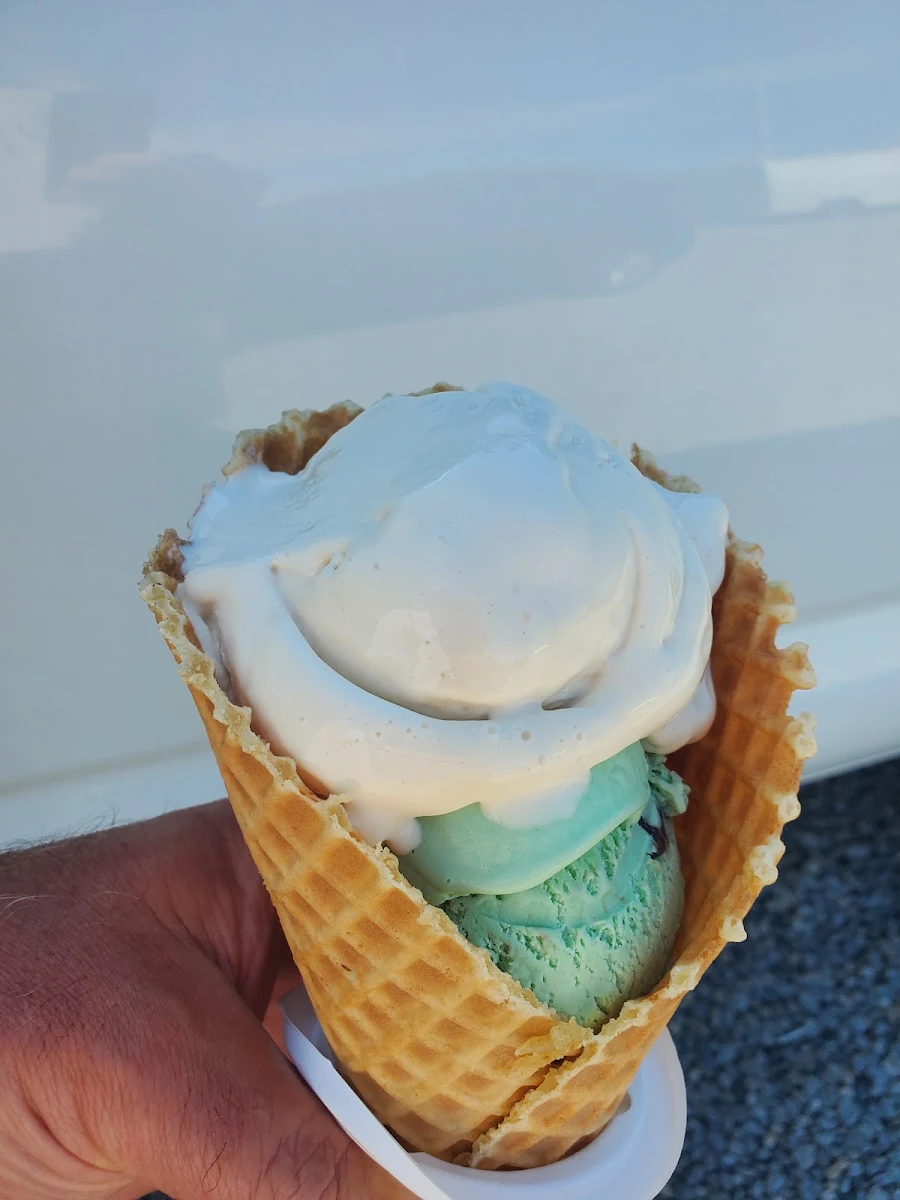 Salted Caramel & Mint Chocolate Chip