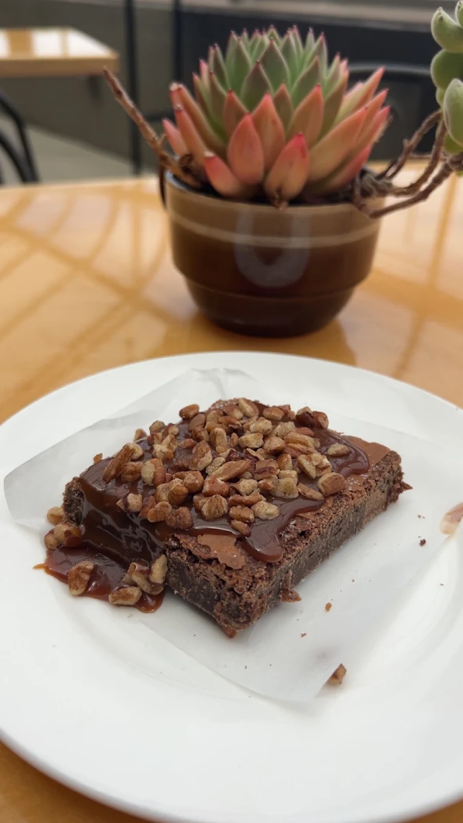 Chocolate Brownie