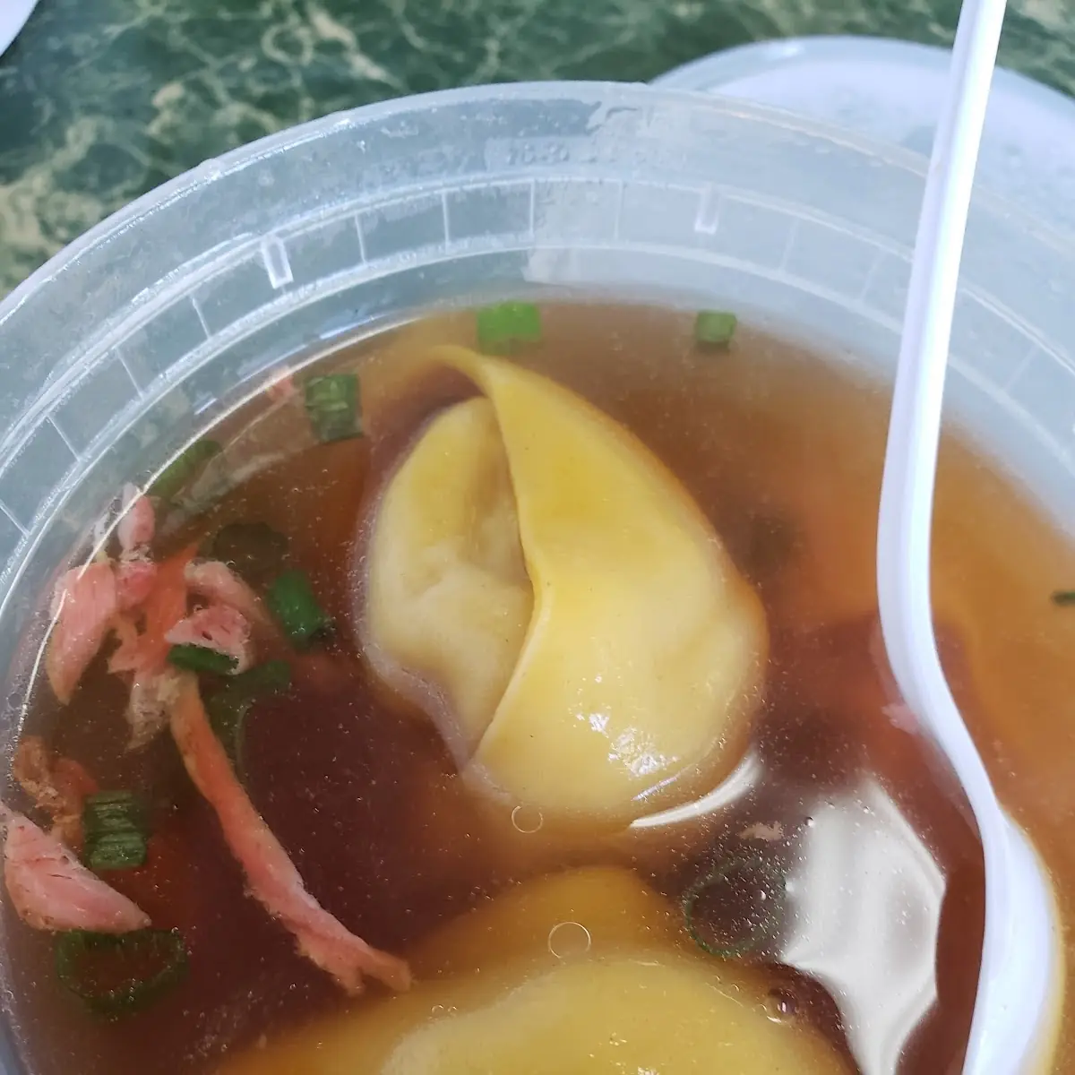 Wonton Soup