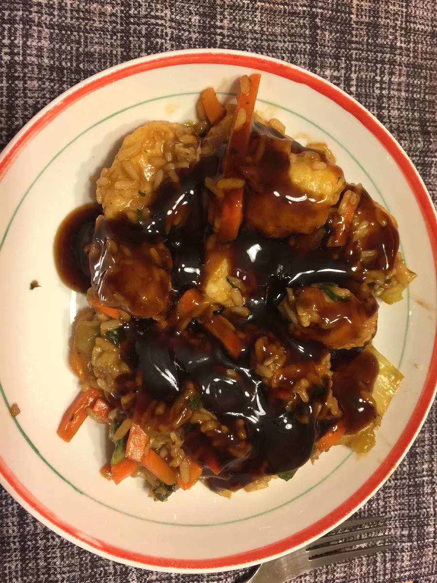 Poulet Teriyaki, PlatsXpress - Plats cuisinés