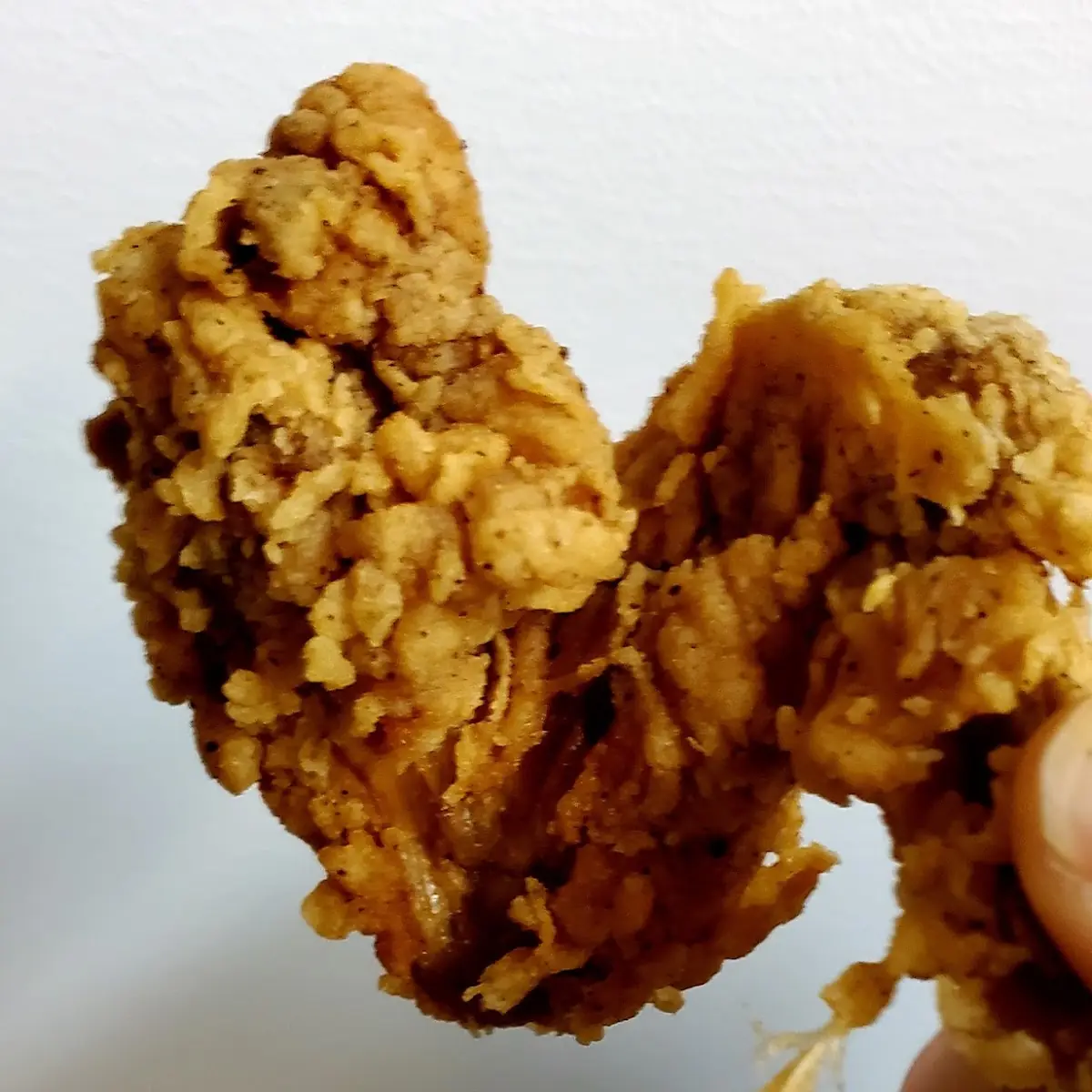 Chicken Wing with a Bonus Deep-Fried Feather