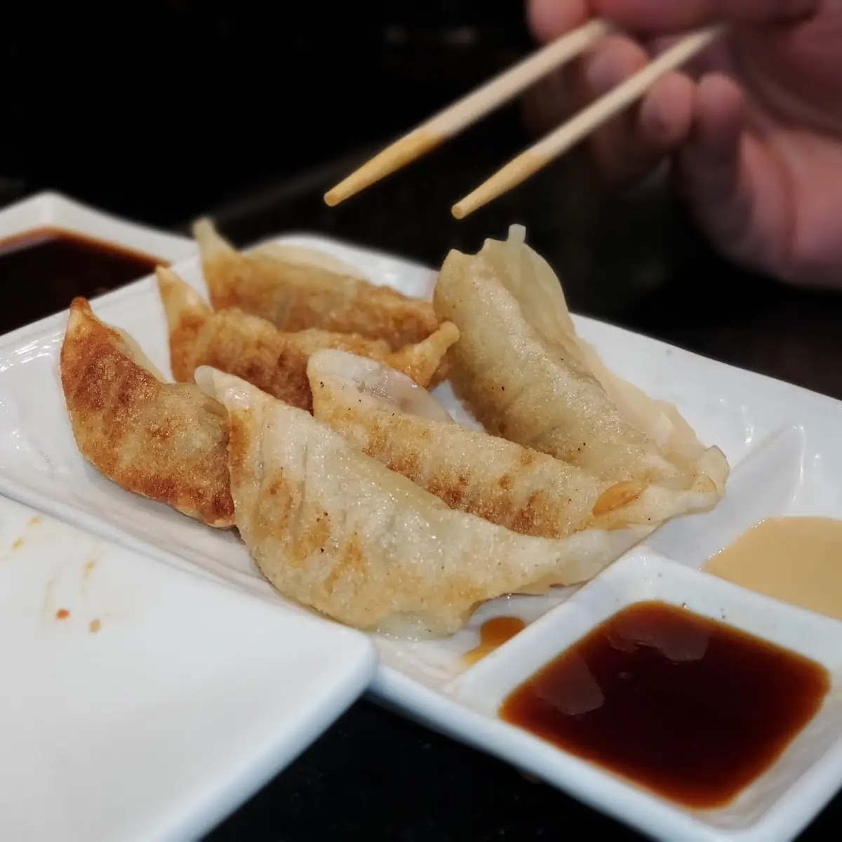 Gyoza