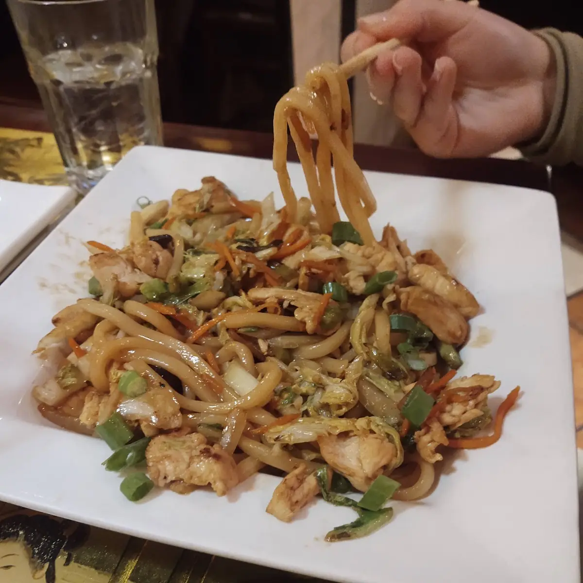 Udon Noodles with Chicken