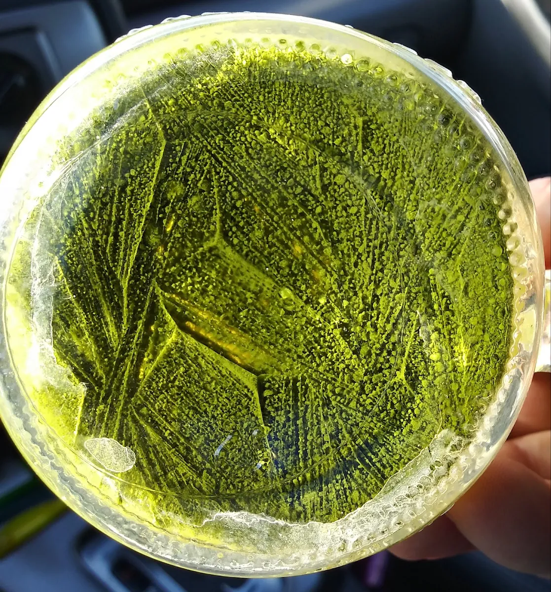 Green Tea