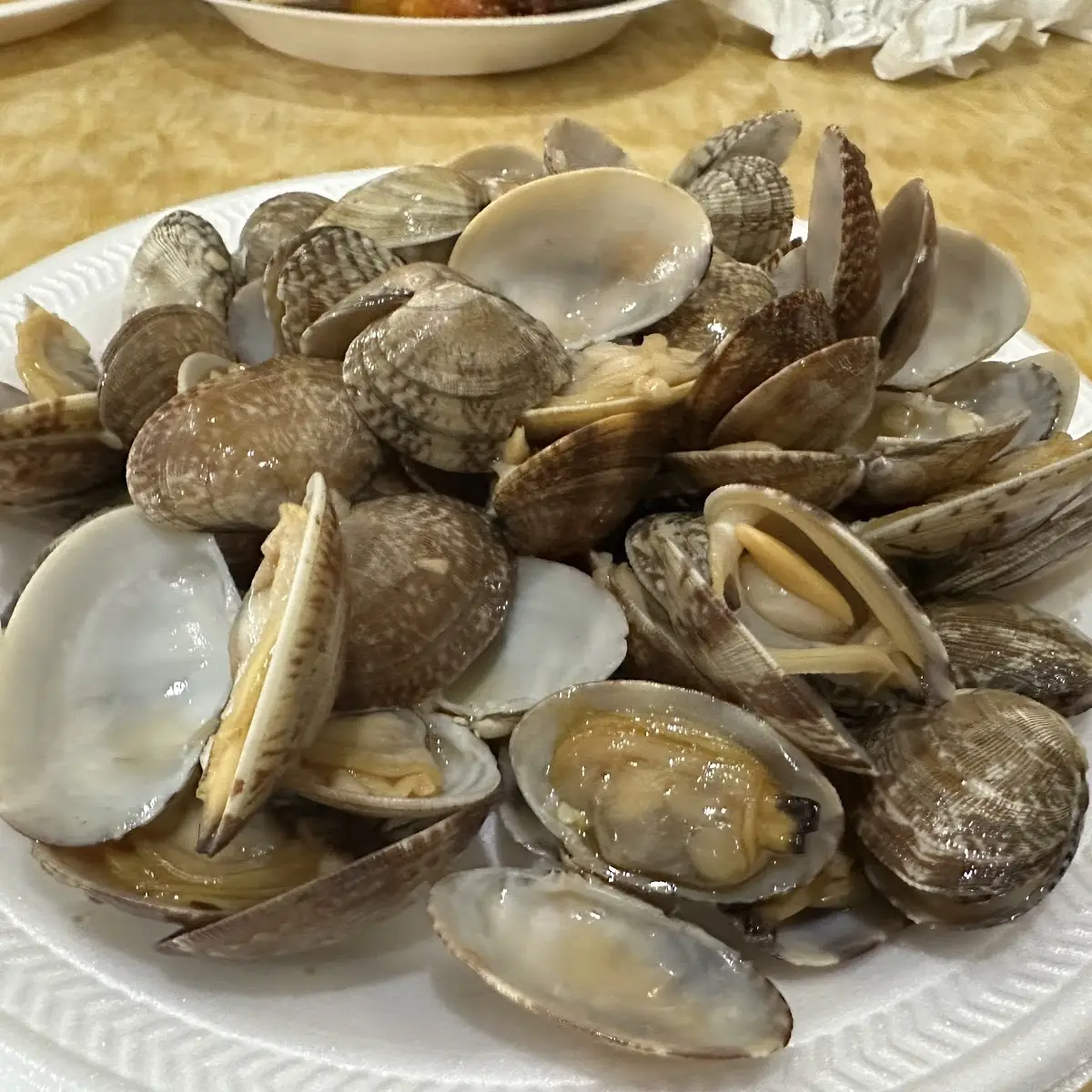 Steamed Clams