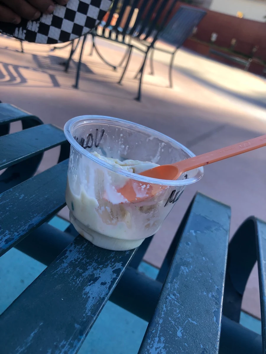 Vanilla Ice Cream