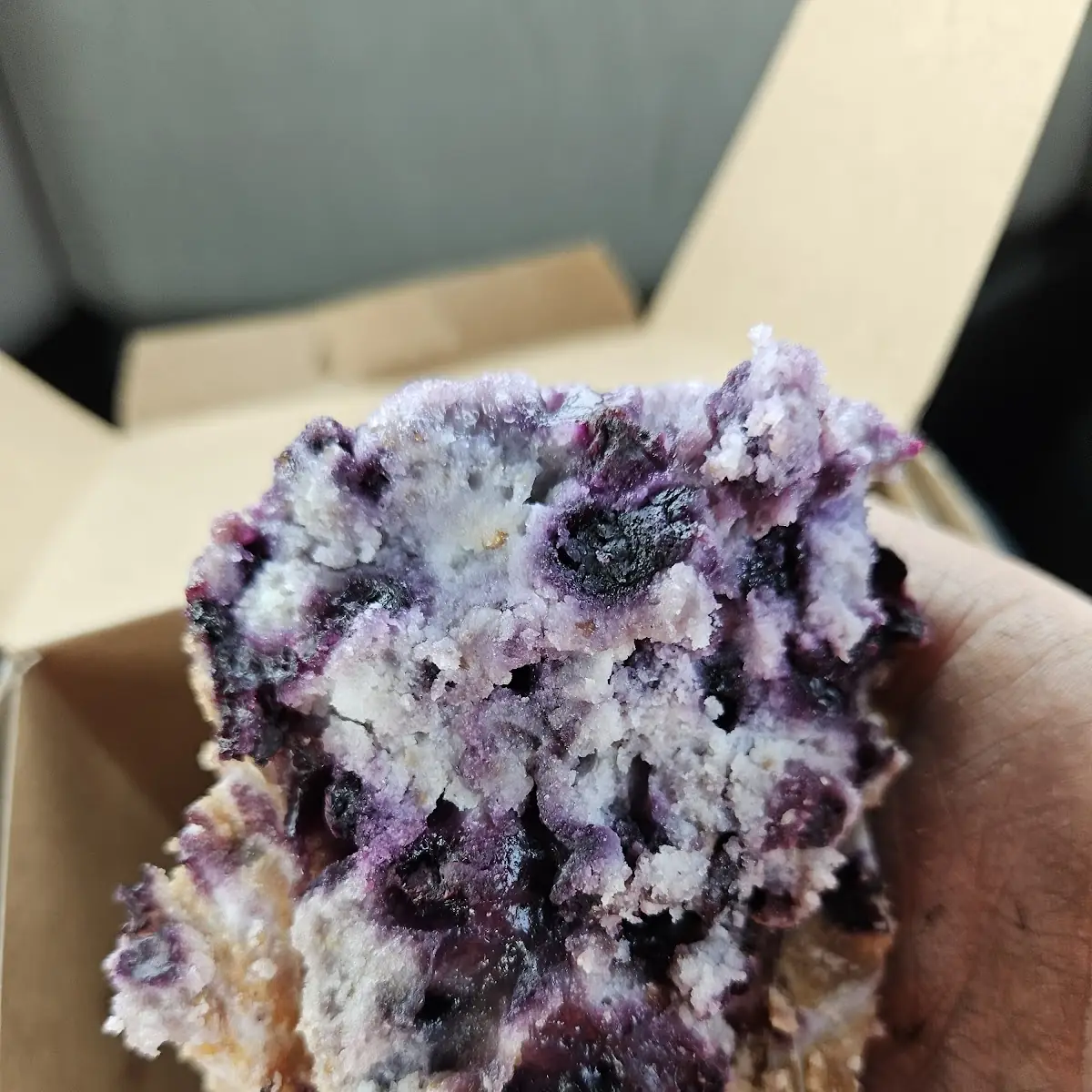 Blueberry Muffin