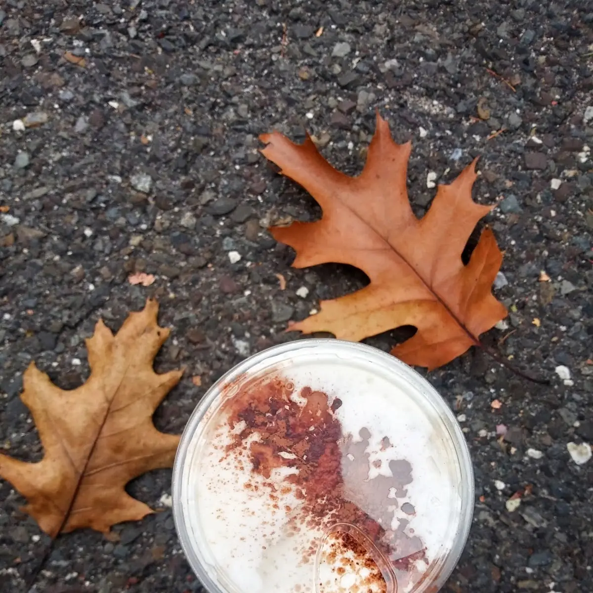 Irish Cream Cold Brew
