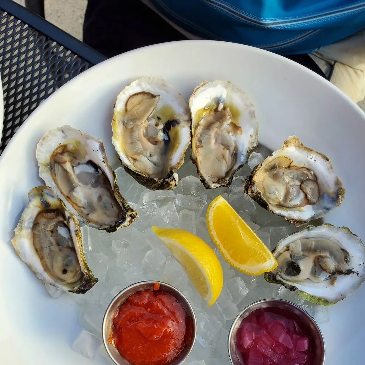 Raw Oysters on the Half Shell