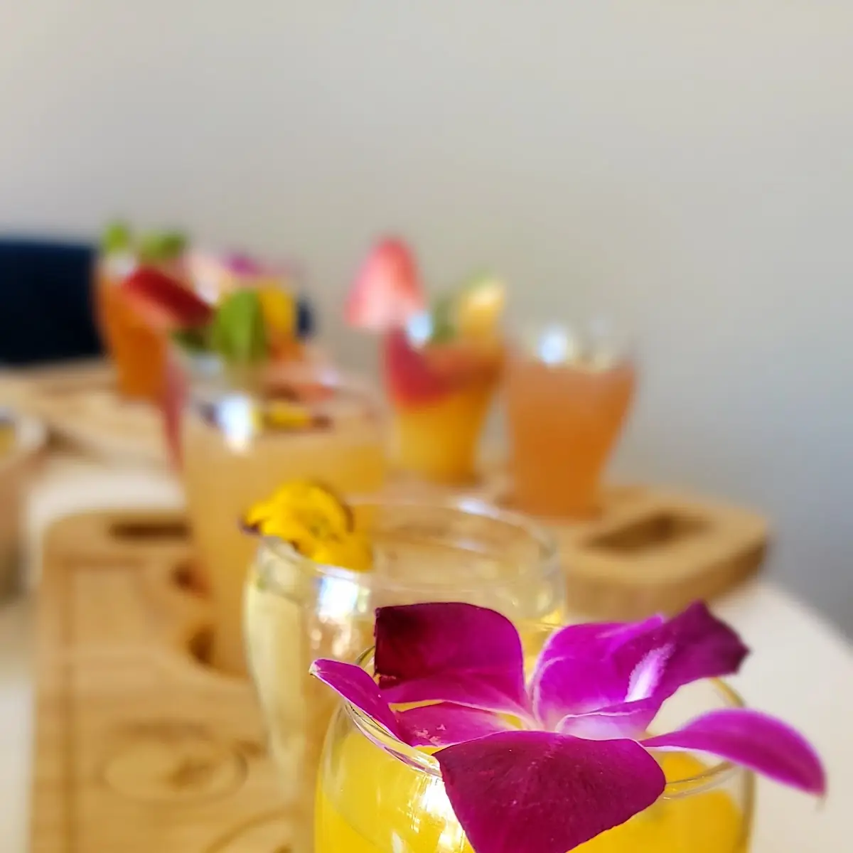 Mimosa Flight