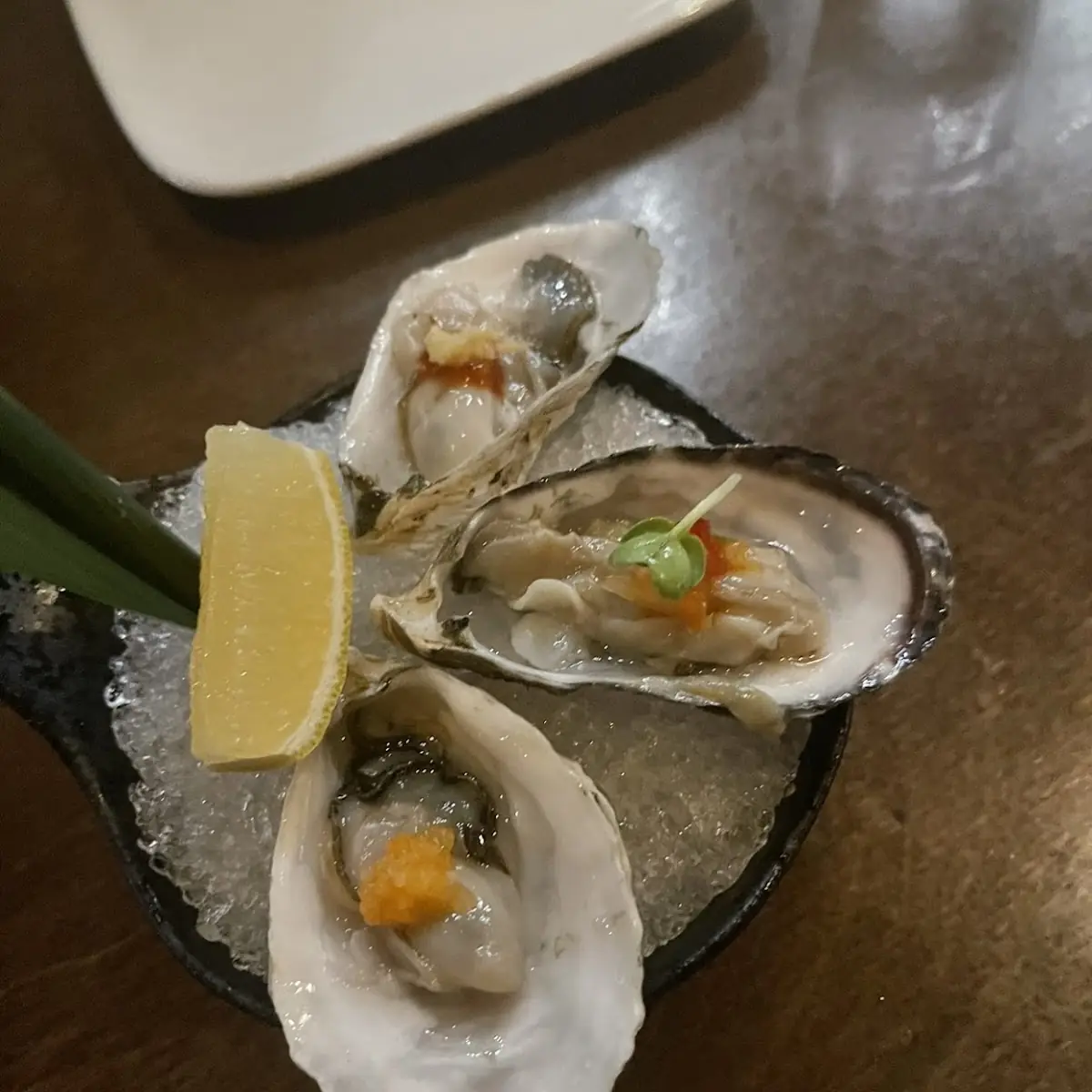 Fresh Oysters