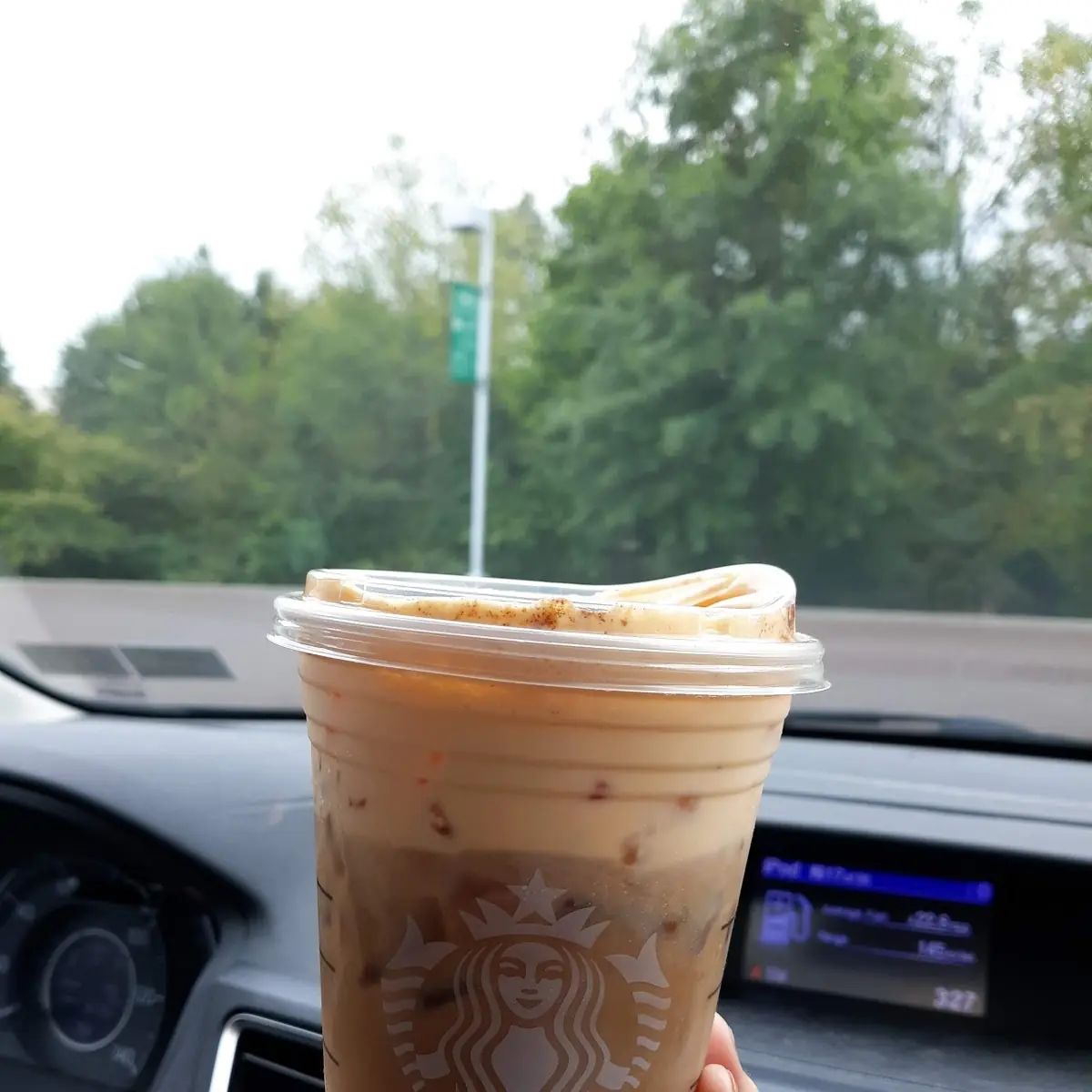 Pumpkin Cream Cold Brew