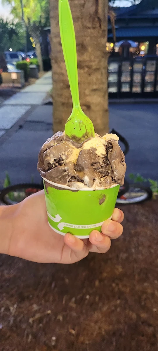 Chocolate Ice Cream