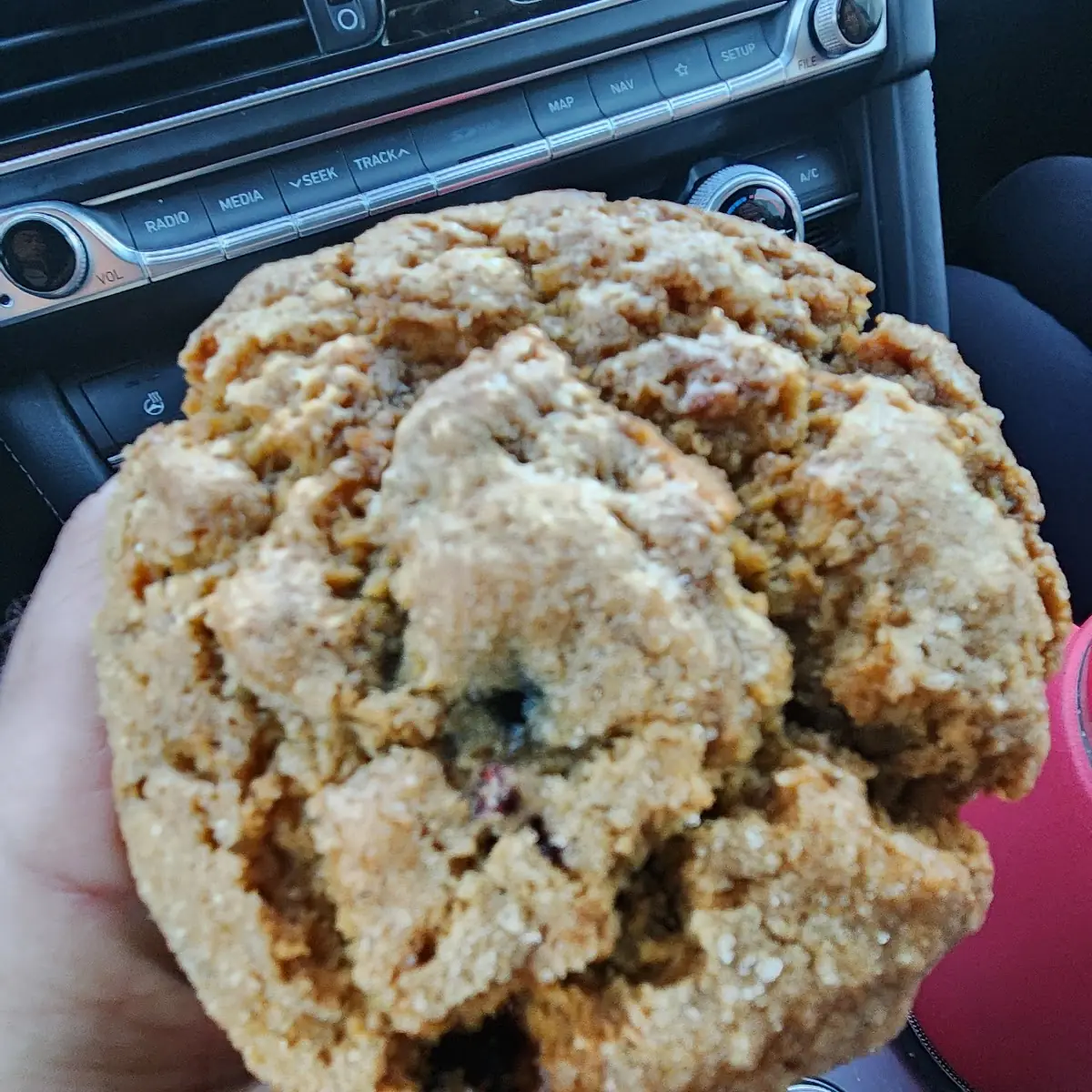 Mixed Blueberry Muffin