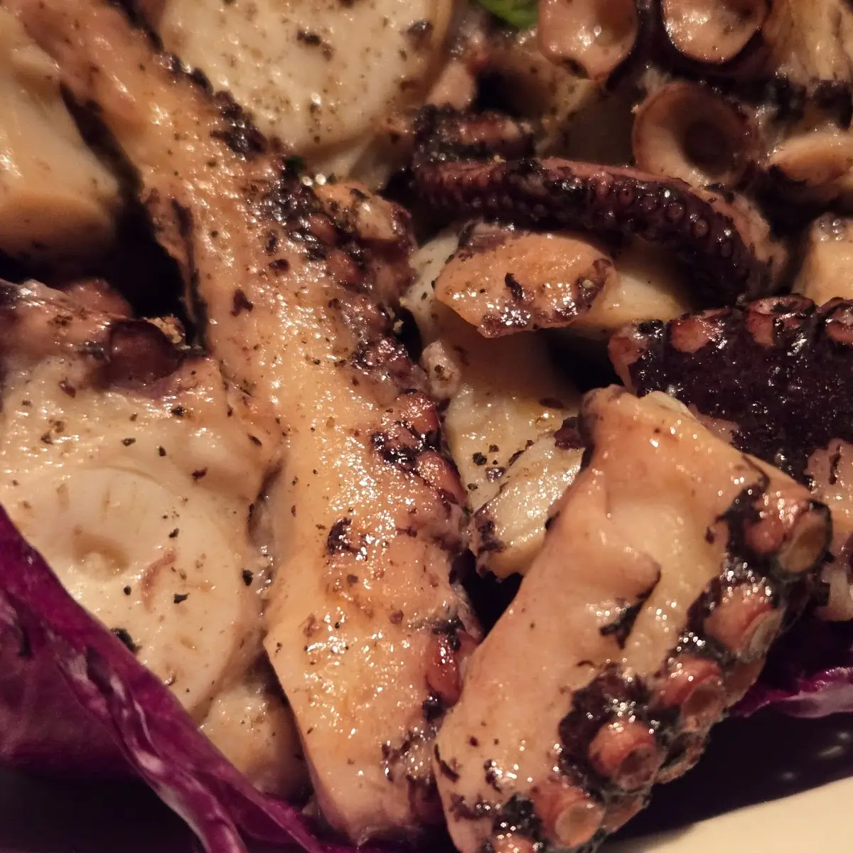 Octopus Salad