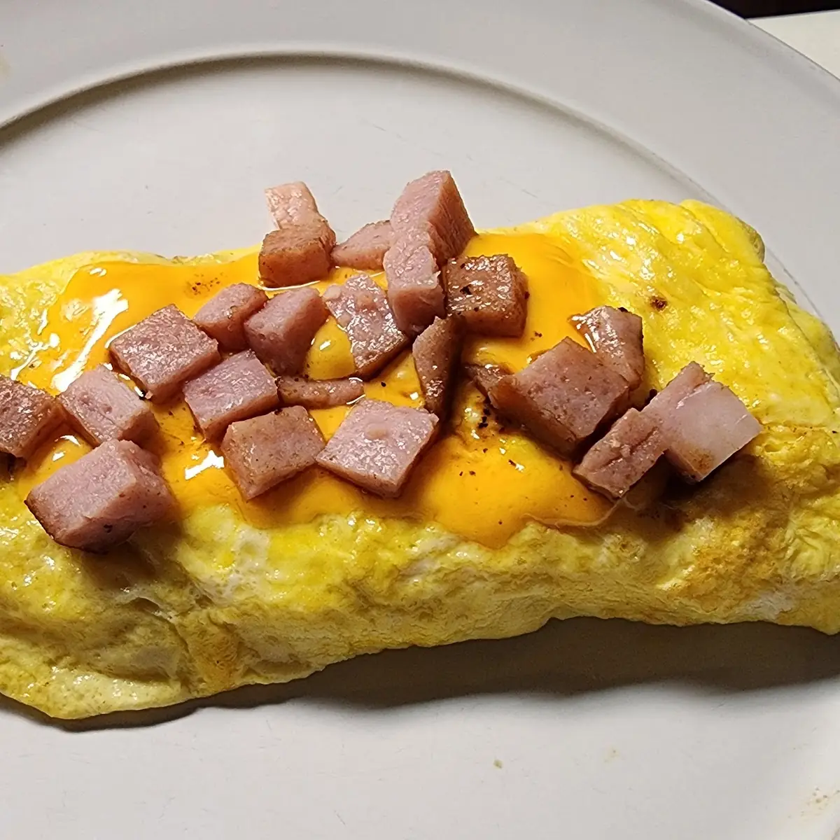 Ham and Cheese Omelette