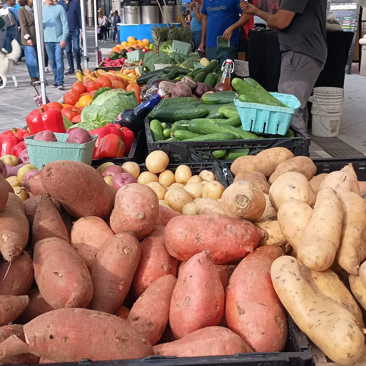 Sweet Potato