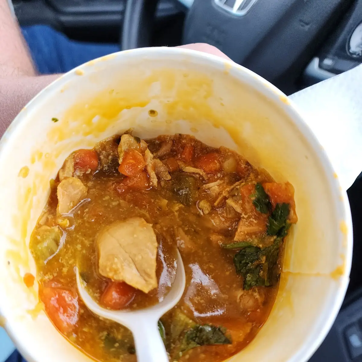 Chicken Vegetable Soup