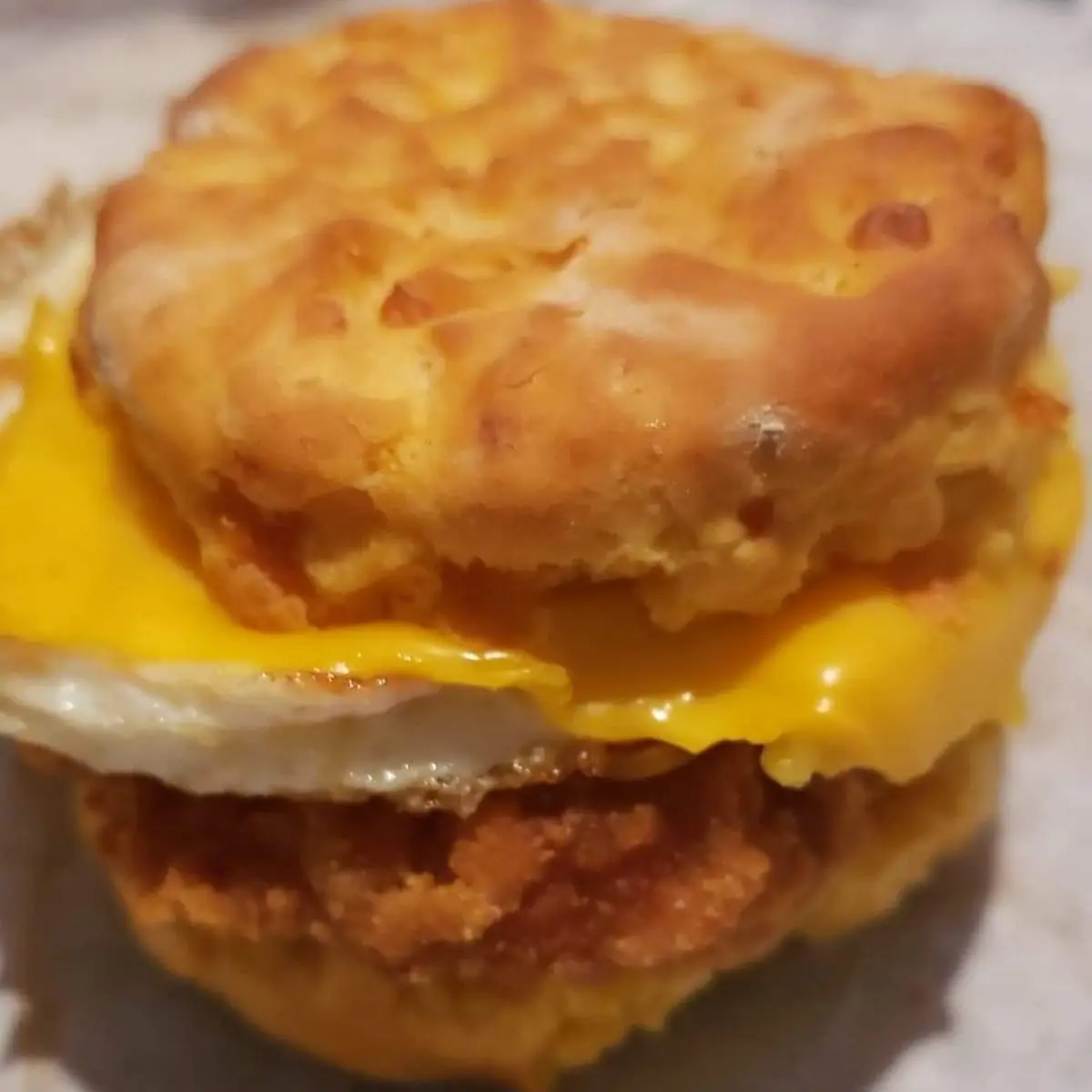 Cheddar Chicken Biscuit