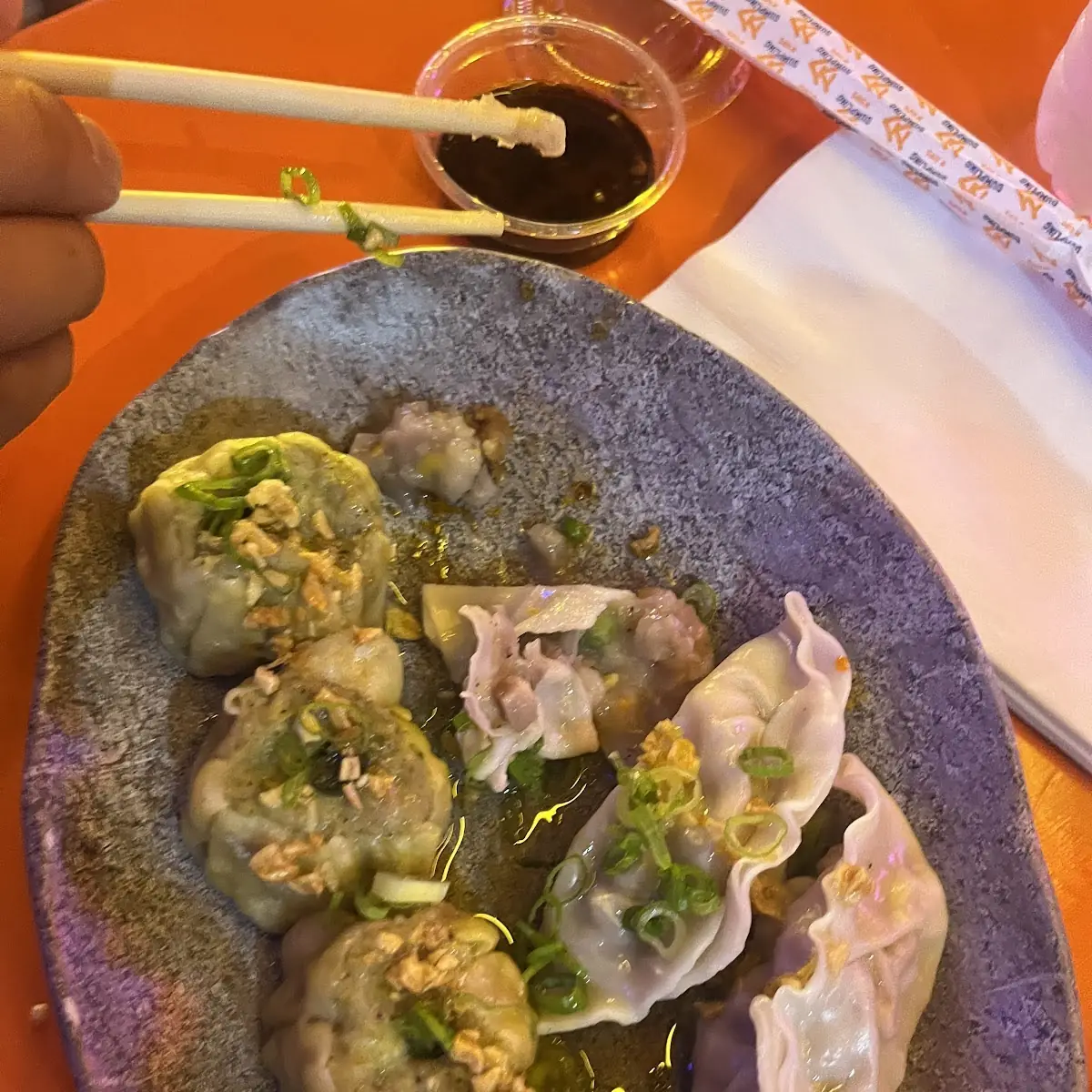 Vegan Chive Dumplings and Chicken Curry Dumplings
