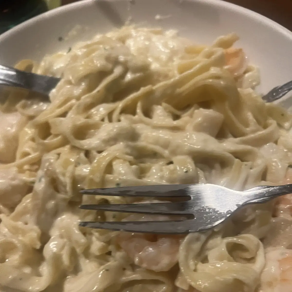 Shrimp Alfredo Pasta