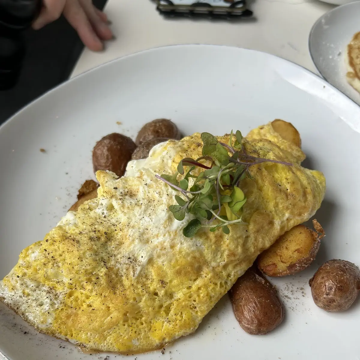 Turkey Omelette