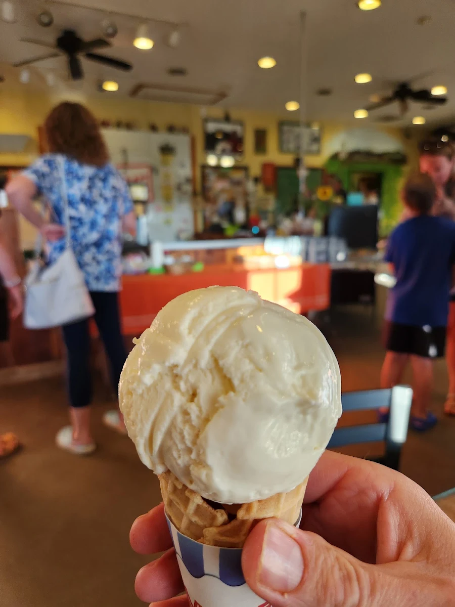 Vanilla Ice Cream