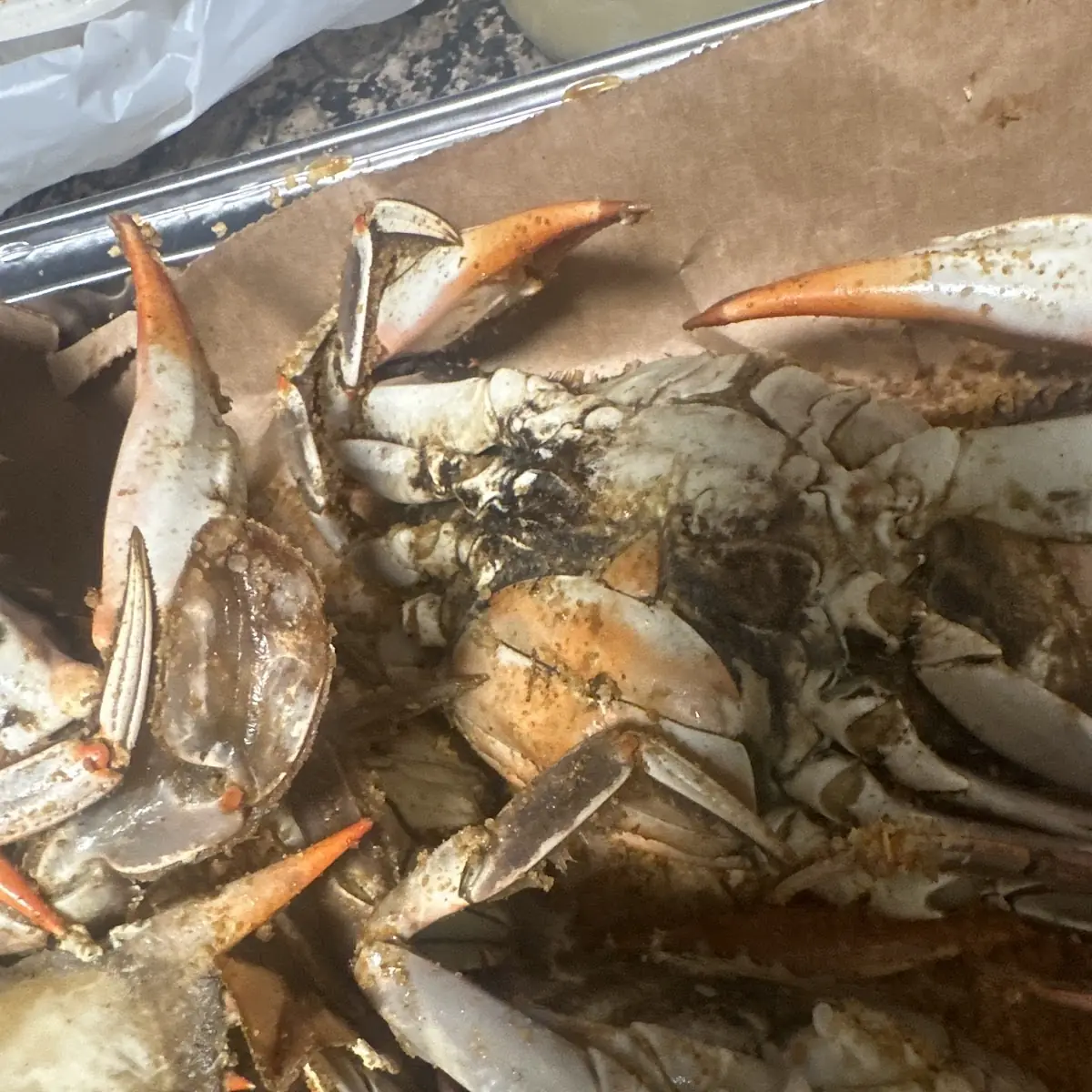 Soft Shell Crab