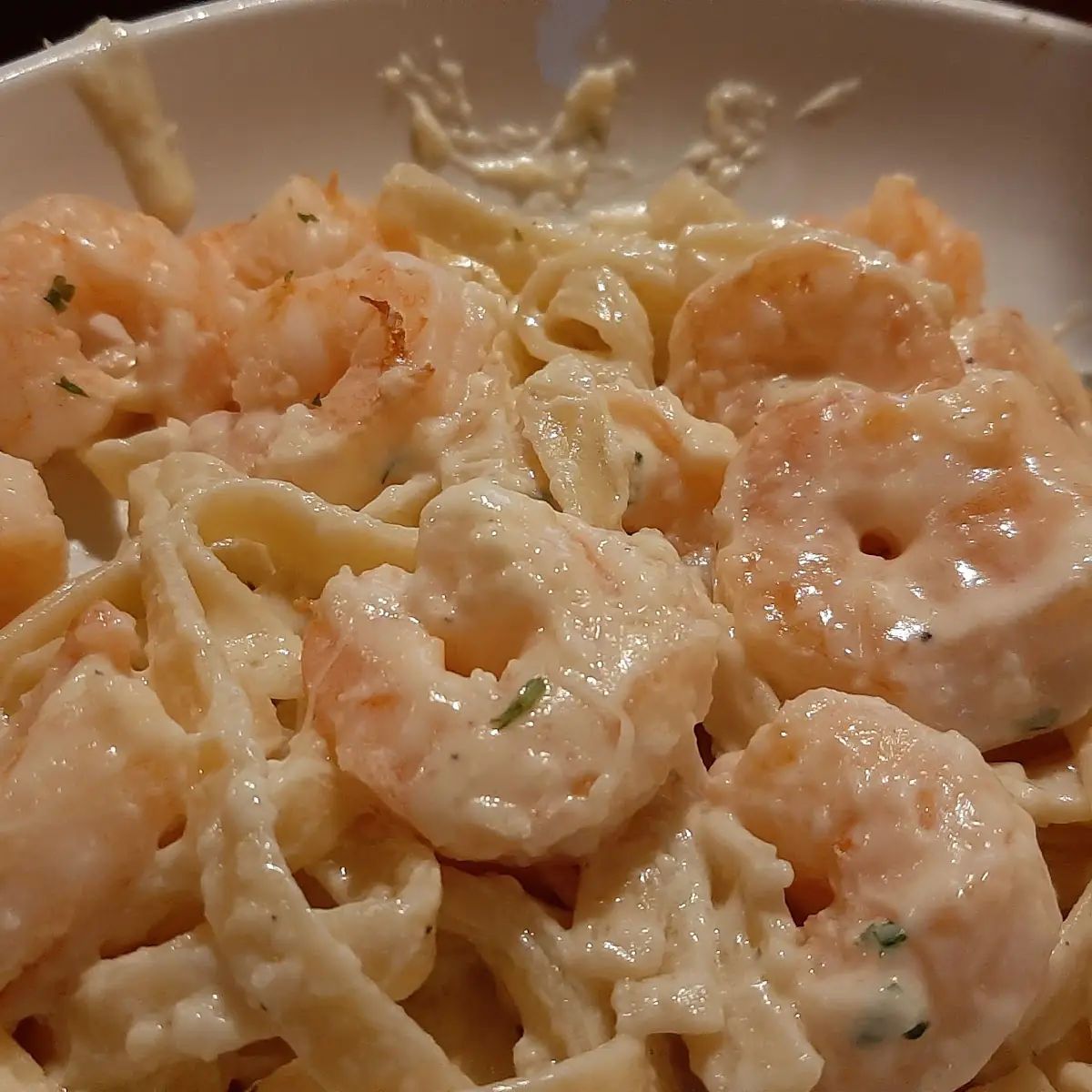 Shrimp Alfredo