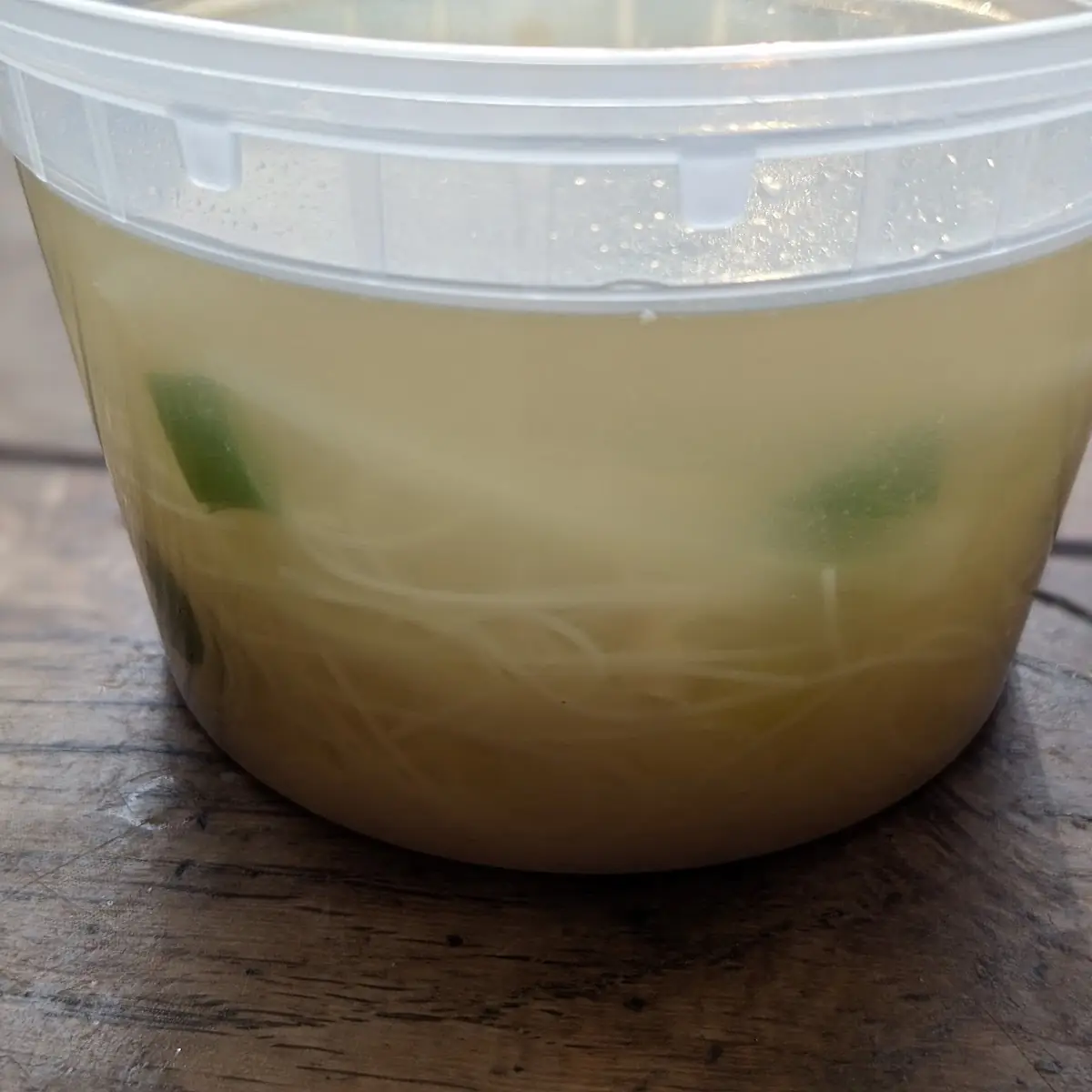 Chicken Noodle Soup