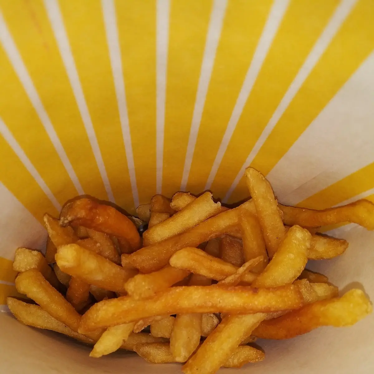 World Famous Fries