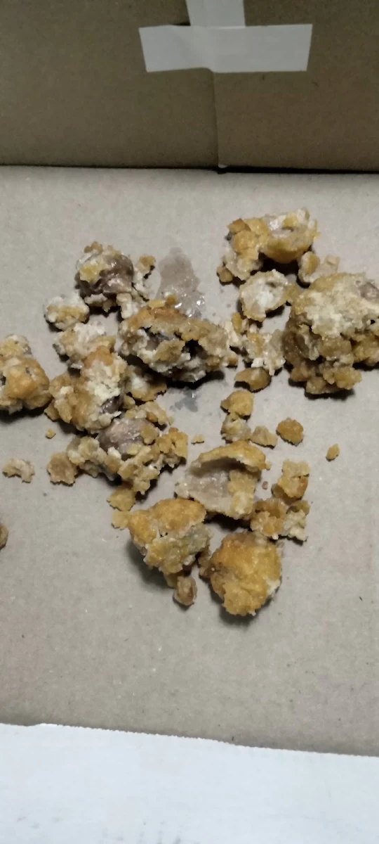 Breaded Mushrooms