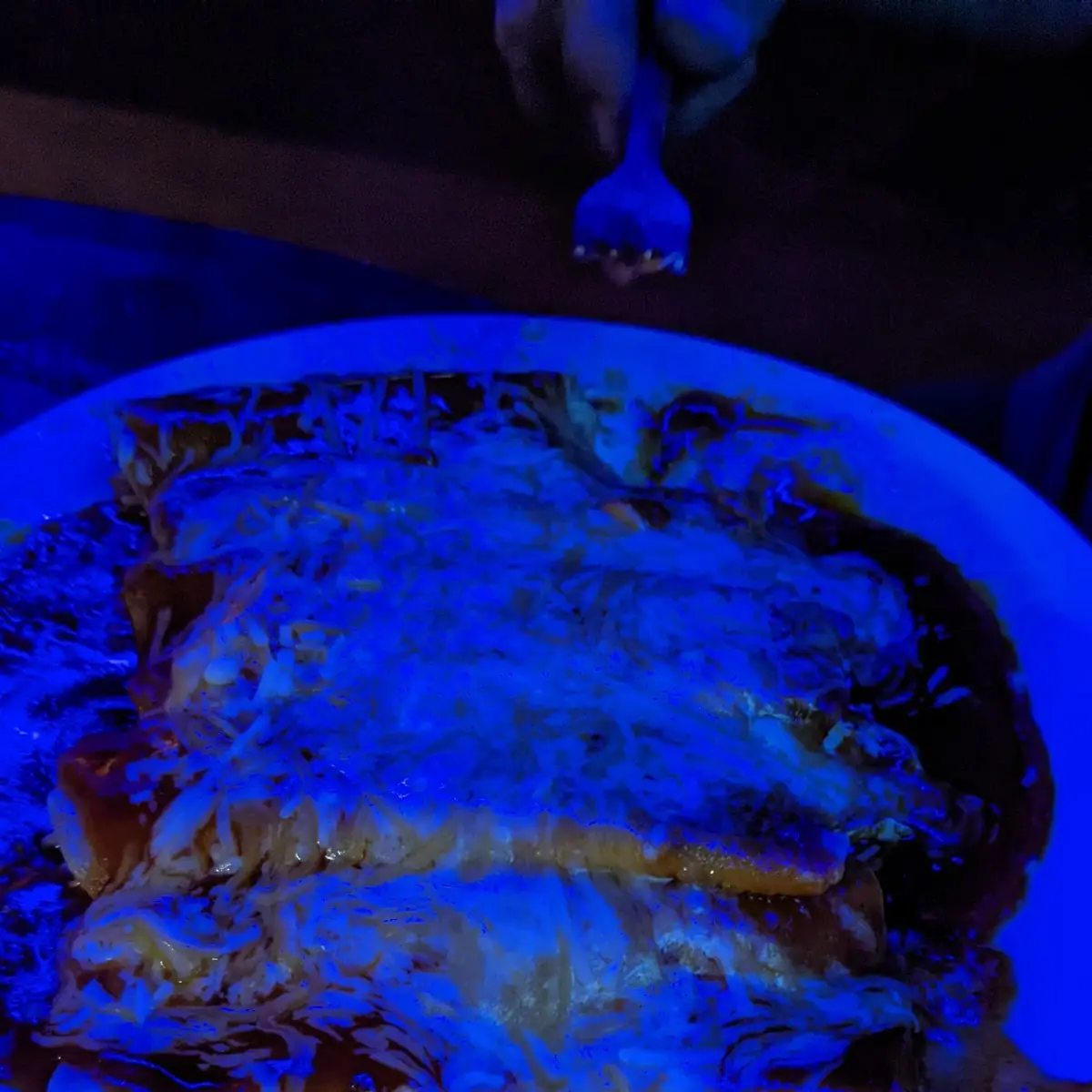 Chile Verde Enchilada