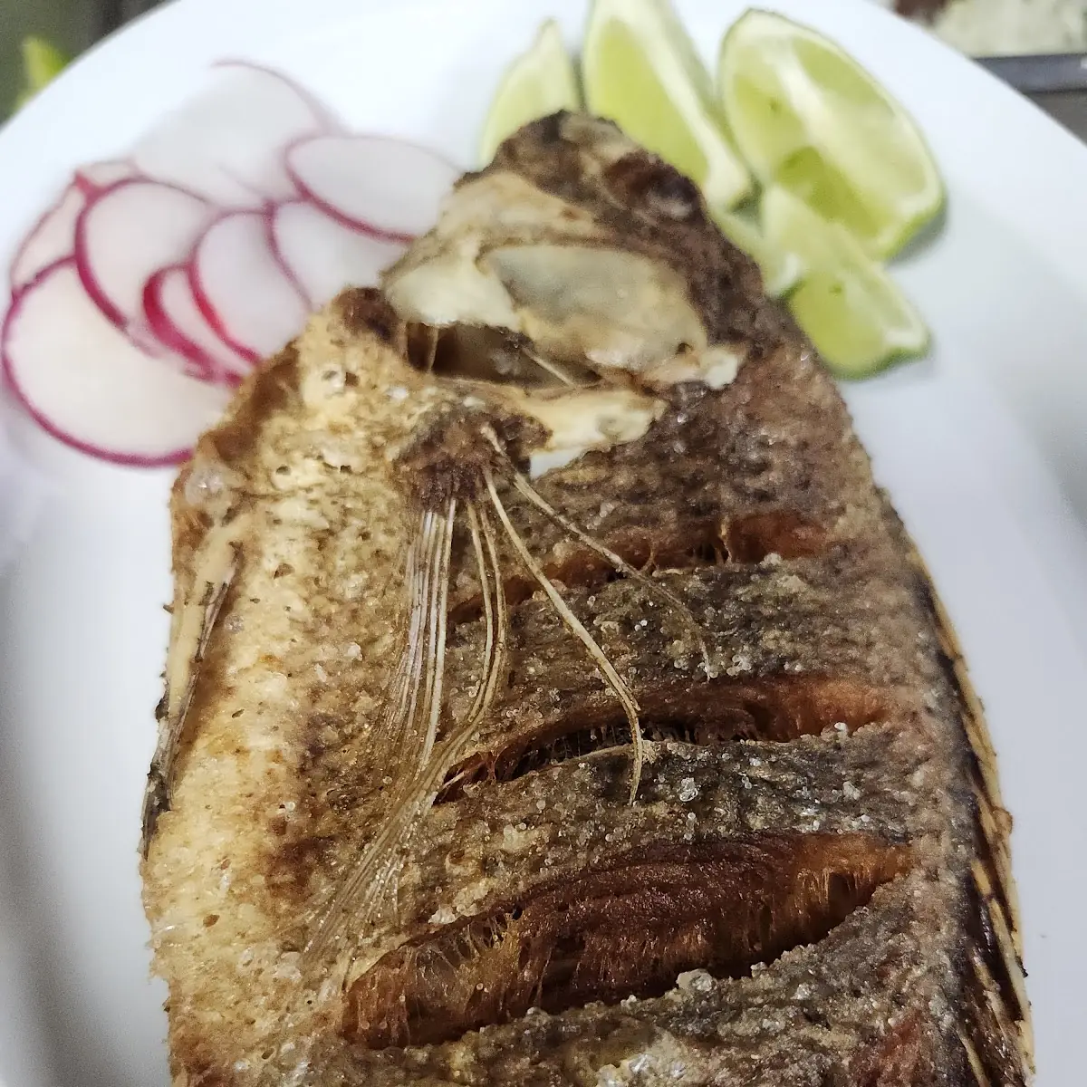 Tilapia Fish Pescado