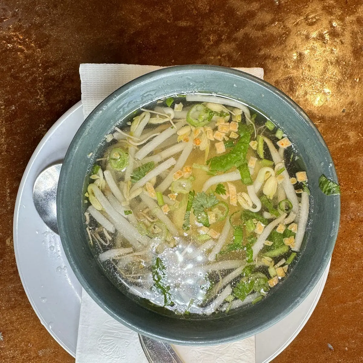 Wonton Soup