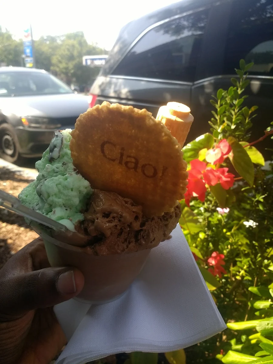 Dark and Mint Chocolate Scoops