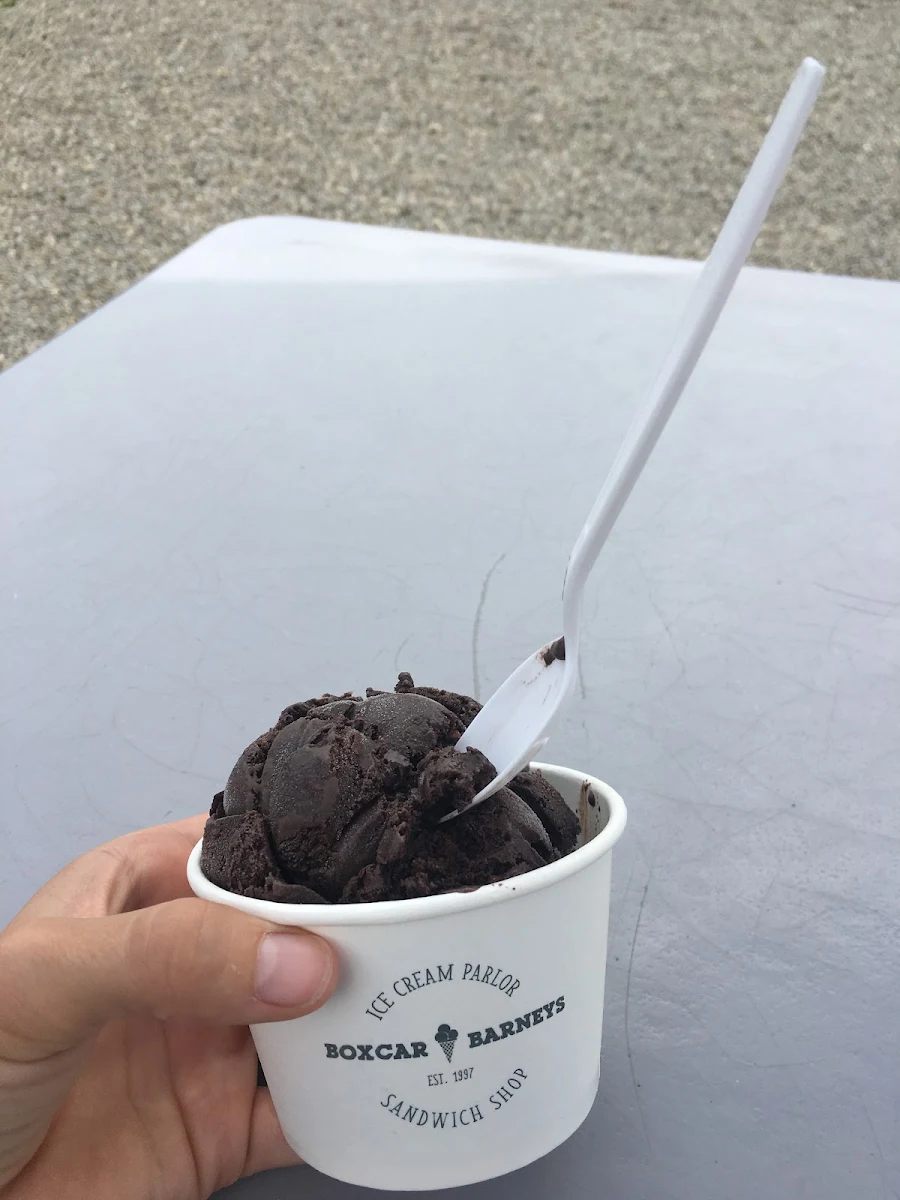 Dark Chocolate Hazelnut Ice Cream