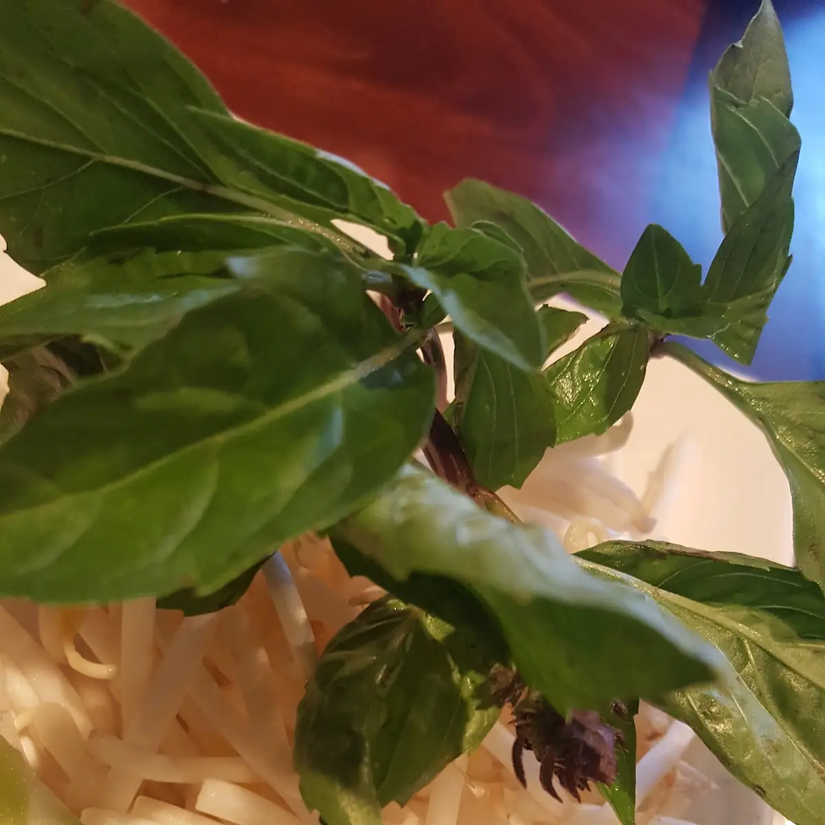 Passion Fruit