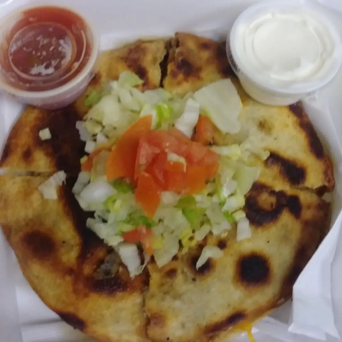 Steak Quesadilla