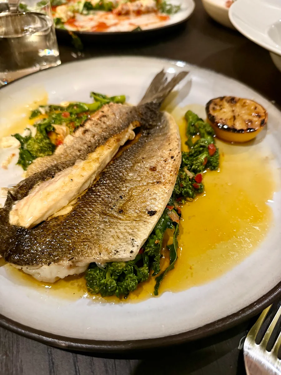 Sea Bass