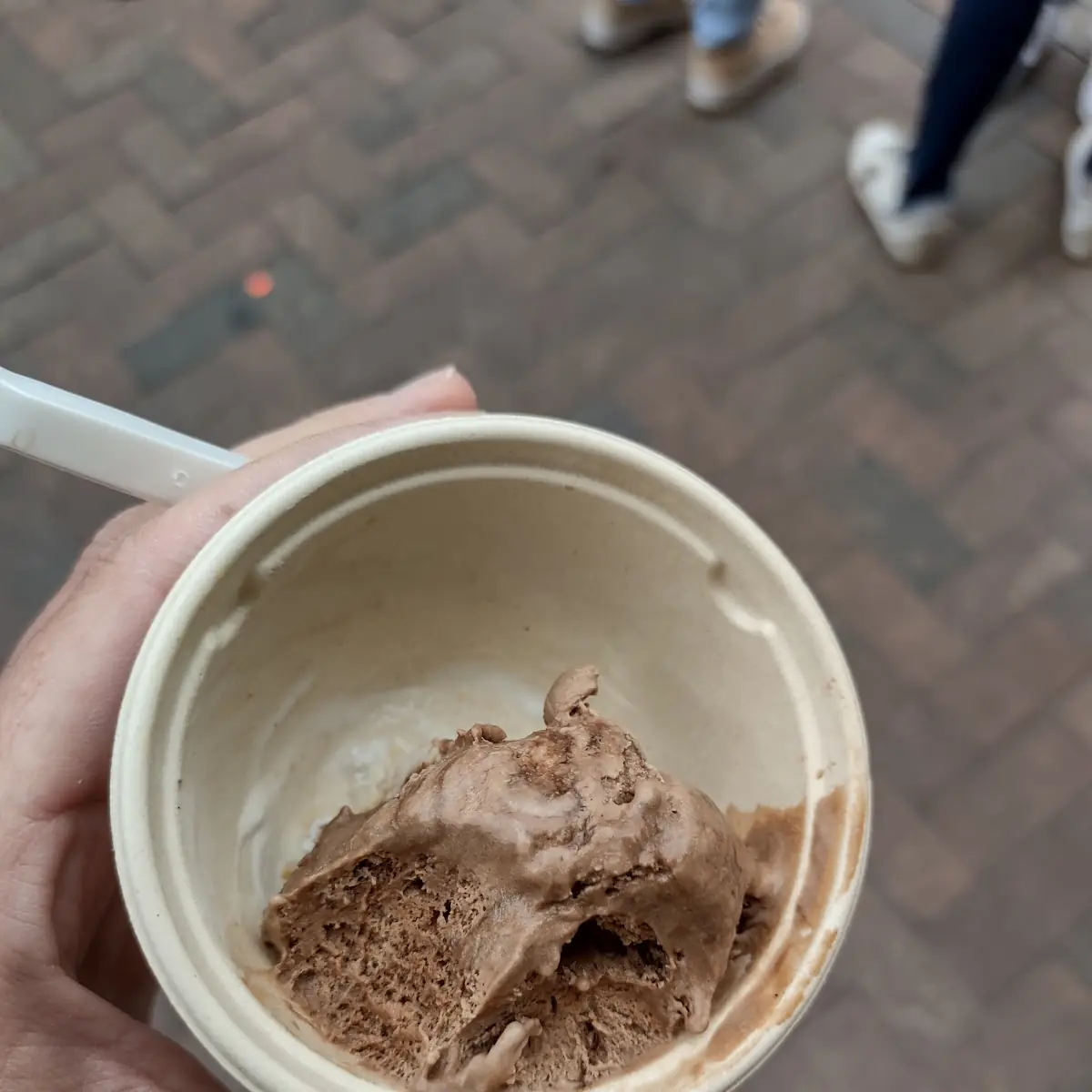 Chocolate Ice Cream