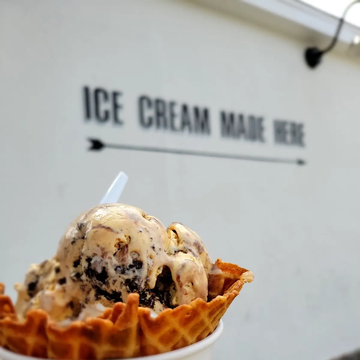 Ice Cream Sandwich
