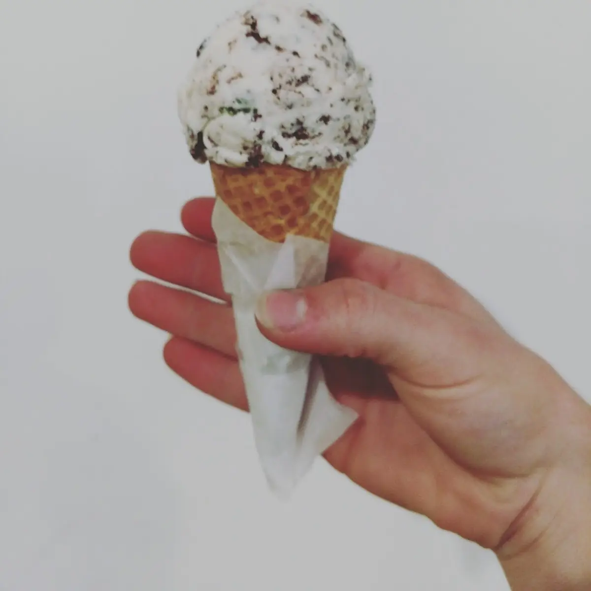 Mint Chocolate Chip Ice Cream